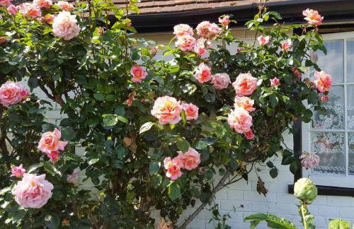 Highfield Lodge - Photo 35