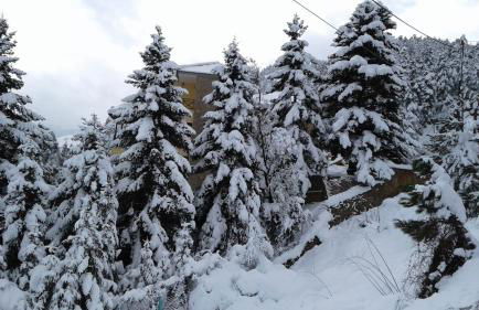 Elatos cozy Studio - Foto 1