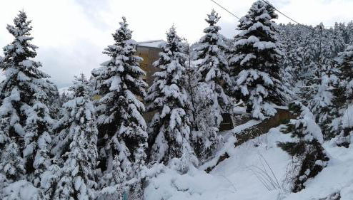 Elatos cozy Studio - Foto 1