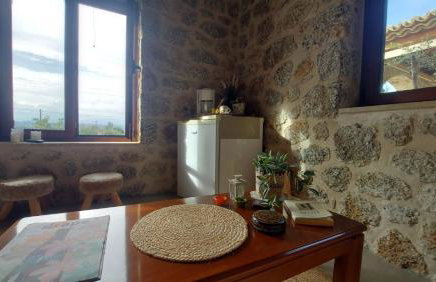 homonatura petrinum - Foto 6