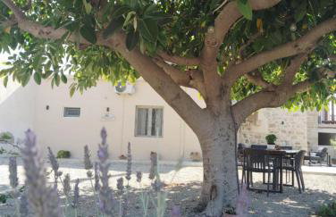 Minfot Local House - Photo 48