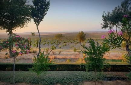 Cortijo El Triguero N-398 Ctra Carmona – El Viso del Alcor Km 18 - Foto 27