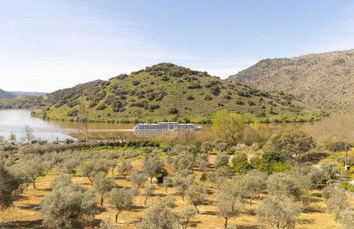 Douro Elegance Suites - Foto 75