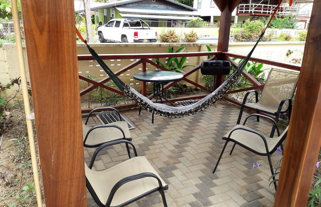 Max Garden and Pool - Photo 57