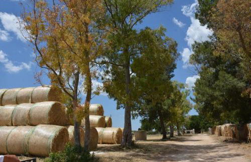 Masseria Medico di Maglie - Foto 35