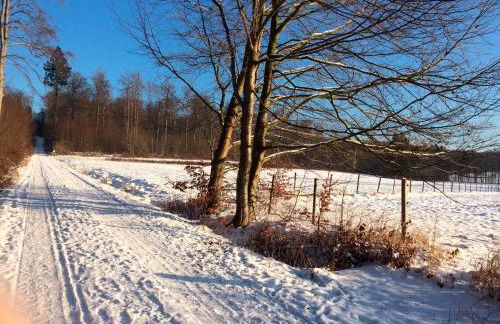 Ferienwohnung am Harz - Foto 23