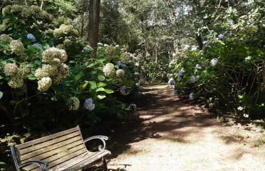 Apartamentos Mar y Mar Agroturismo - Foto 26