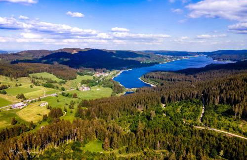 Ferienwohnung "Schlüchttalblick" mit privater Sauna, Ühlingen-Birkendorf - Foto 28