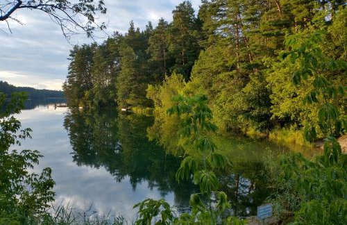 Wigierska Chatka - Foto 73