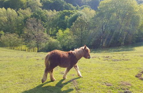 Casa Lekutxoa con amplio jardín cerca de San Sebastián - Foto 19