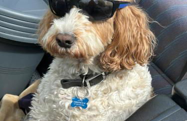 Kents Bank Holiday - Pet Friendly with Bay Views - Foto 75