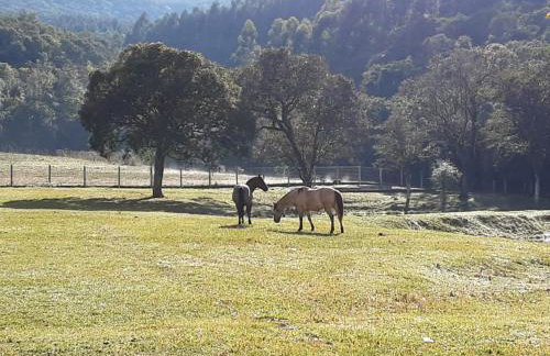 Quinta da Boa Vista São Chico - Foto 76