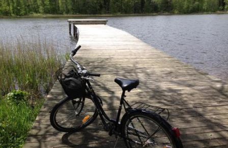 Jabłkowo-na skraju Puszczy Boreckiej ŚNIADANIA W CENIE - Foto 36