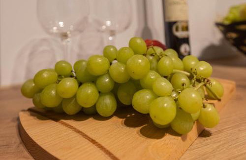 Möblierte Apartments nähe Speyer - Foto 66