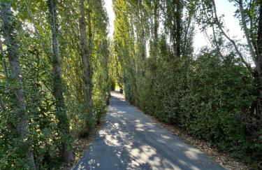 Casa Gil, Quinta Carmo - Alcobaça/ Nazaré - Foto 17