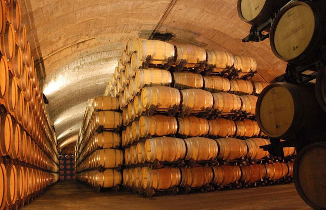 Visite des caves Los Llanos et de la Cueva del Arte - Photo 2