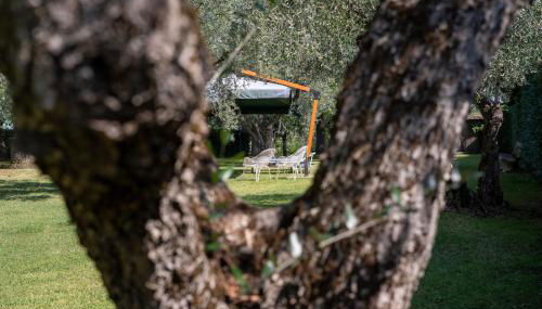 Villa dei Gelsomini, Residenza nel verde - Foto 5, Garden, Garden view
