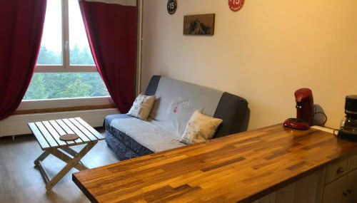 studio tout confort au pied des pistes du lioran - Foto 2