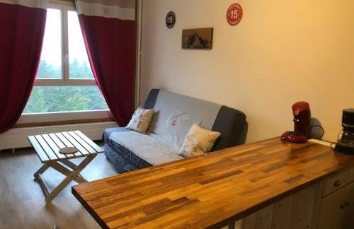 studio tout confort au pied des pistes du lioran - Foto 2