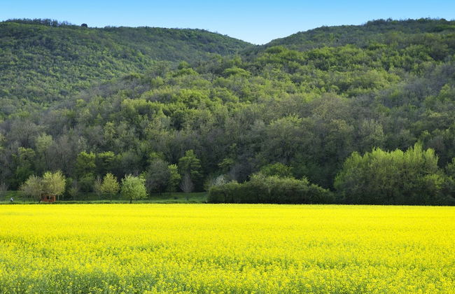 Agriturismo Il Corniolo - Photo 73