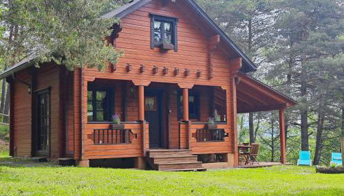 El Pi Solitari - Photo 2, Garden