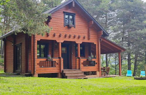 El Pi Solitari - Photo 2