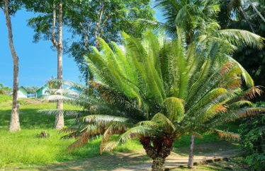 ECO CHALÉ PARK CACHOEIRAS - Foto 27