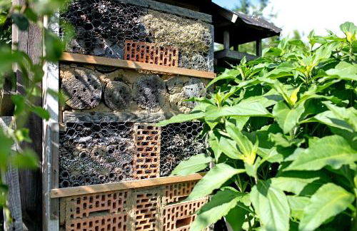 Ferienhaus Engert mit Holzofensauna - Foto 23