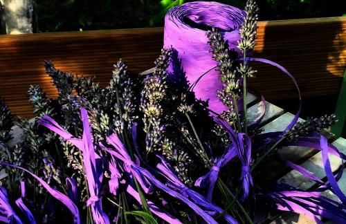 AGRITURISMO TERRAPIA - Foto 34