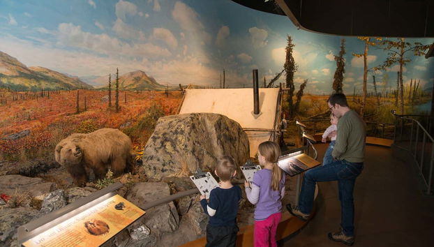 Per le sale del Museo del Nord