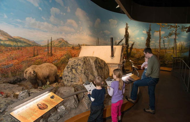 Tour di Fairbanks - Foto 3