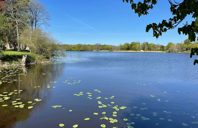 4 Star Holiday Home in Hollviken - Foto 10