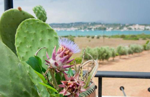 Orange Tree - Foto 28