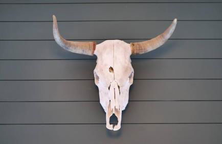 25 mins to Grand Canyon Fire Pit - Foto 27