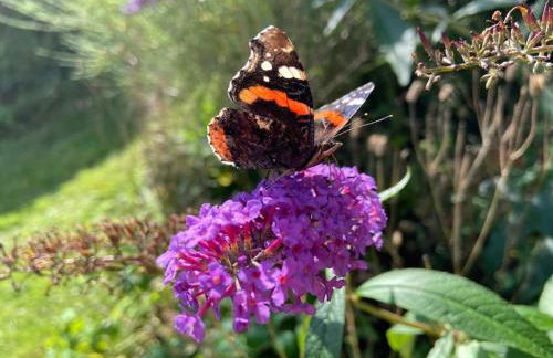 Cartmel Barn: Beckside Stables - Foto 42