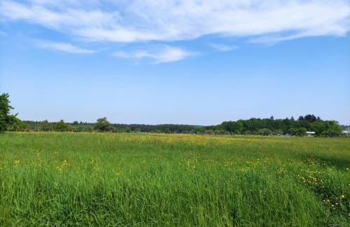 FeWo ALBTALECK - Wohnen im Kurort Waldbronn - Foto 31