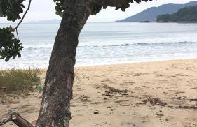 Recanto Maciel casa rústica em meio da natureza próximo a praia trilhas cachoeira - Foto 11