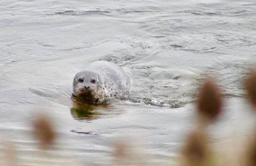 Family Friendly Home - Foto 42