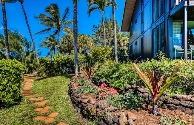 Mahina Surf - Foto 48
