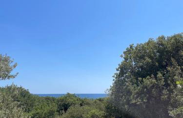 Platan Paradise - Foto 31