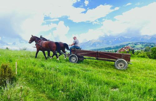 Zagroda Rusiński - Foto 31