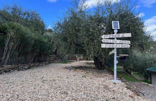 Casa Riviera dei Fiori - Foto 13