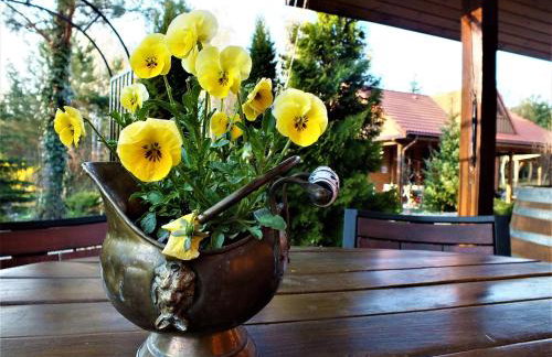 Sumówko Leśne Siedlisko - Foto 22