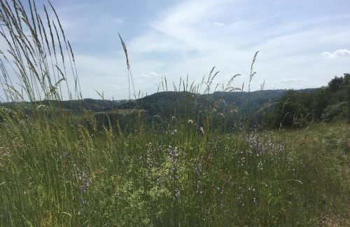 Haus Dorfidyll - Foto 26