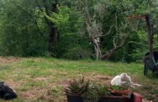 Agriturismo le Cammarose - Foto 76