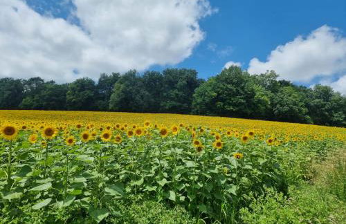 La Colline de Tilleul - Les Tilleuls - 4 STAR RATED - stunning cottage with pool near Aubeterre in idyllic location - Foto 50