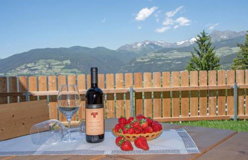 Forchnerhof Panorama - App 3 Täler Blick - Photo 38