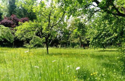 Gite spacieux et cosy à la campagne proche de Strasbourg - Foto 24