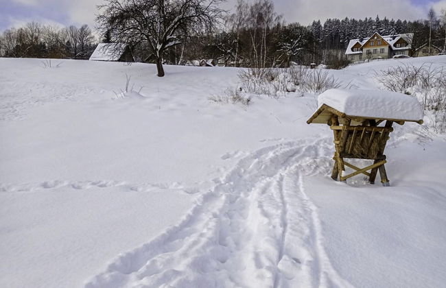 Chalupa U Bobra - Foto 49