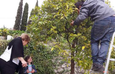 Holidays In Provence Alpes Maritimes - Foto 19